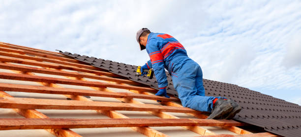 Best Gutter Replacement  in Choccolocco, AL